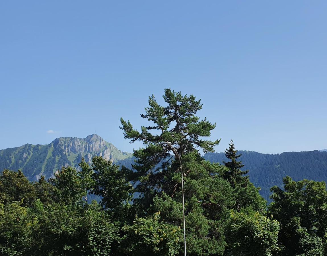 Apartamento Nérine Leysin Exterior foto